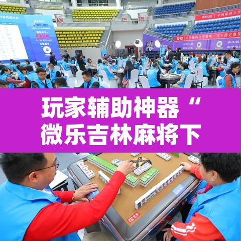 玩家辅助神器“微乐吉林麻将下载安装到手机”附辅助神器开挂脚本详细步骤