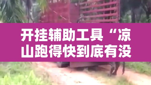 开挂辅助工具“凉山跑得快到底有没有挂”其实确实有挂