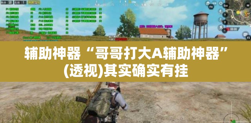 辅助神器“哥哥打大A辅助神器	”(透视)其实确实有挂