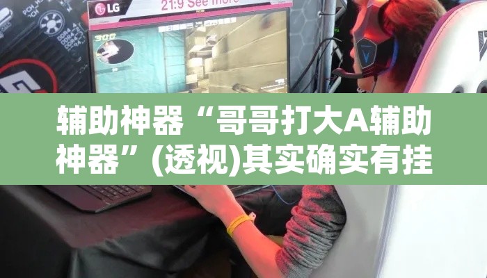辅助神器“哥哥打大A辅助神器”(透视)其实确实有挂