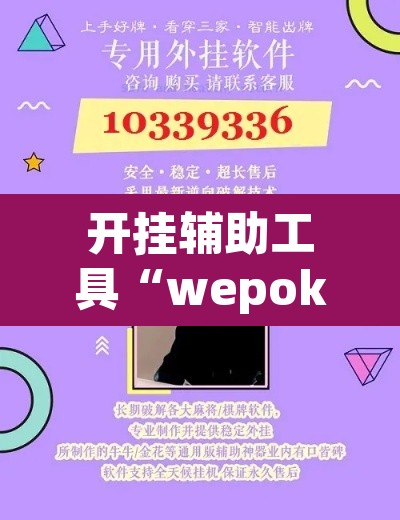 开挂辅助工具“wepokerplus辅助”其实确实有挂
