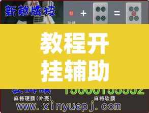 教程开挂辅助“德扑之星辅助作弊透视教程”其实确实有挂