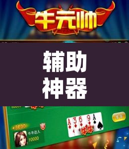 辅助神器“九九休闲斗牛辅助器辅助透视脚本”附辅助神器开挂脚本详细步骤