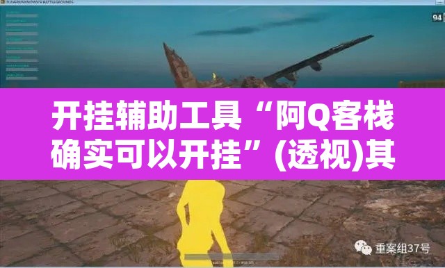 开挂辅助工具“阿Q客栈确实可以开挂”(透视)其实确实有挂