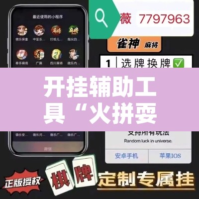 开挂辅助工具“火拼耍大牌有挂没”开挂辅助脚本+详细开挂安装教程