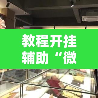 教程开挂辅助“微乐浙江麻将万能开挂器免费”(透视挂)辅助透视教程