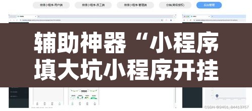 辅助神器“小程序填大坑小程序开挂下载”开挂辅助脚本+详细开挂安装教程