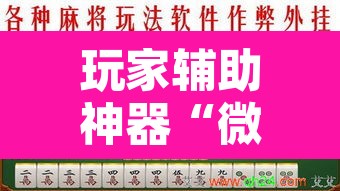 玩家辅助神器“微乐陕西麻将免费开挂神器	”附辅助神器开挂脚本详细步骤