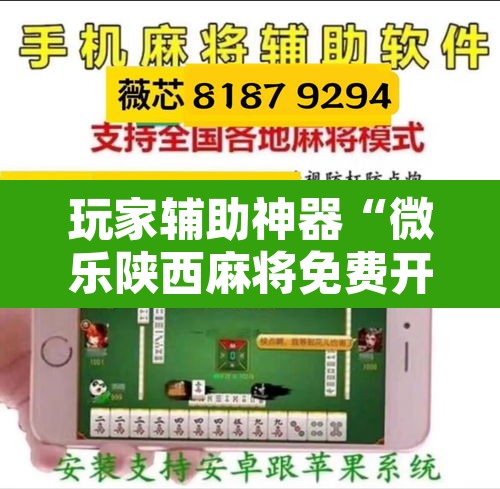 玩家辅助神器“微乐陕西麻将免费开挂神器”附辅助神器开挂脚本详细步骤