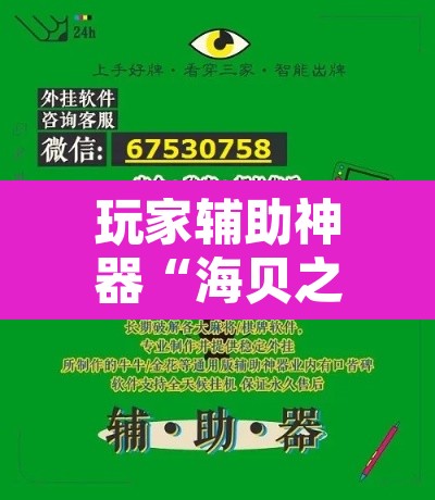 玩家辅助神器“海贝之城拼三张透视软件	”附辅助神器开挂脚本详细步骤