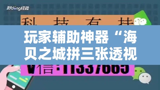 玩家辅助神器“海贝之城拼三张透视软件”附辅助神器开挂脚本详细步骤