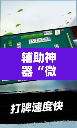 辅助神器“微乐斗地主外卦神器下载”其实确实有挂