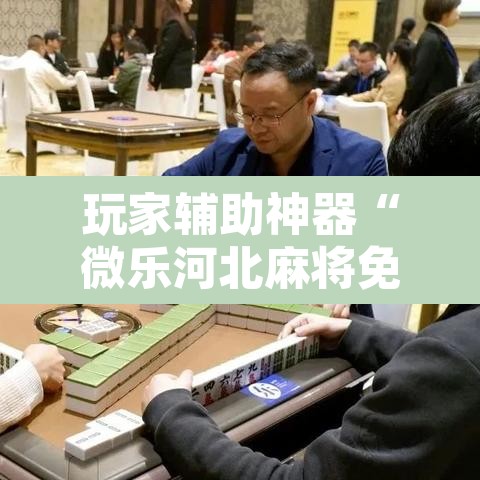 玩家辅助神器“微乐河北麻将免费房间怎么开挂”附辅助神器开挂脚本详细步骤
