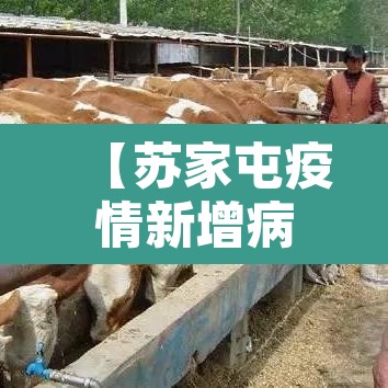 【苏家屯疫情新增病例·苏家屯疫情新增病例轨迹】 【苏家屯疫情新增病例·苏家屯疫情新增病例轨迹】