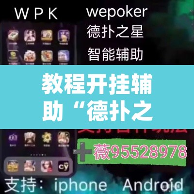 教程开挂辅助“德扑之星辅助下载教程”(透视挂)辅助透视教程