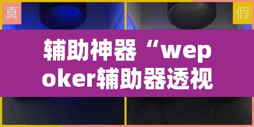 辅助神器“wepoker辅助器透视挂	”其实确实有挂