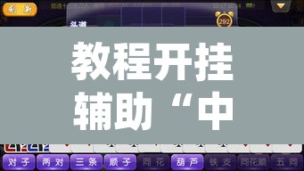 教程开挂辅助“中至游戏有没有作弊辅助”(透视挂)辅助透视教程