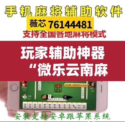 玩家辅助神器“微乐云南麻将开挂神器下载”(透视挂)辅助透视教程