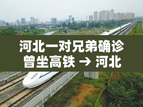 河北一对兄弟确诊曾坐高铁 → 河北两兄弟确诊 河北一对兄弟确诊曾坐高铁 → 河北两兄弟确诊