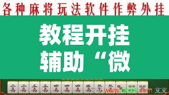 教程开挂辅助“微乐海南麻将开挂神器”其实确实有挂
