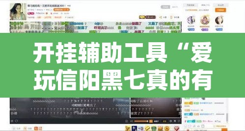 开挂辅助工具“爱玩信阳黑七真的有挂吗	”(透视)其实确实有挂