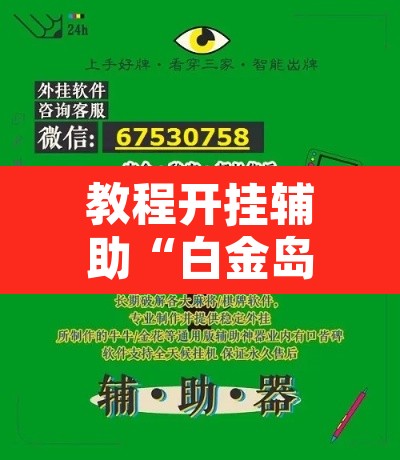 教程开挂辅助“白金岛三打哈挂	”开挂辅助脚本+详细开挂安装教程