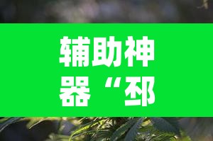 辅助神器“邳州友友麻将开挂神器	”(透视)其实确实有挂