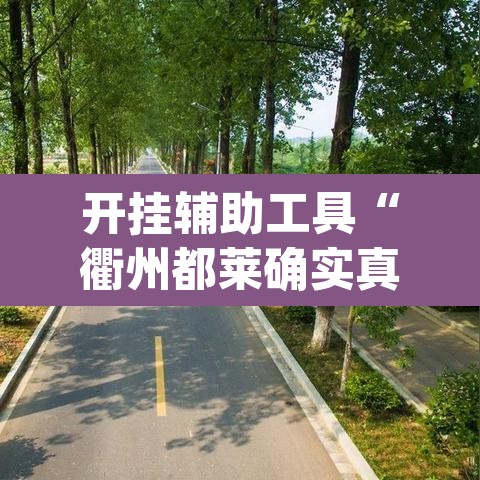 开挂辅助工具“衢州都莱确实真的有挂”(透视)其实确实有挂