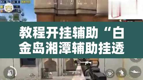教程开挂辅助“白金岛湘潭辅助挂透视教程”其实确实有挂