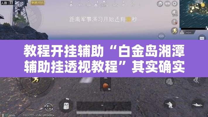 教程开挂辅助“白金岛湘潭辅助挂透视教程	”其实确实有挂