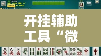 开挂辅助工具“微乐龙江麻将万能开挂器	”附辅助神器开挂脚本详细步骤