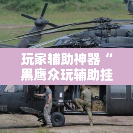 玩家辅助神器“黑鹰众玩辅助挂”其实确实有挂