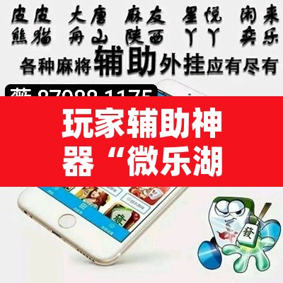 玩家辅助神器“微乐湖南麻将万能开挂器”其实确实有挂