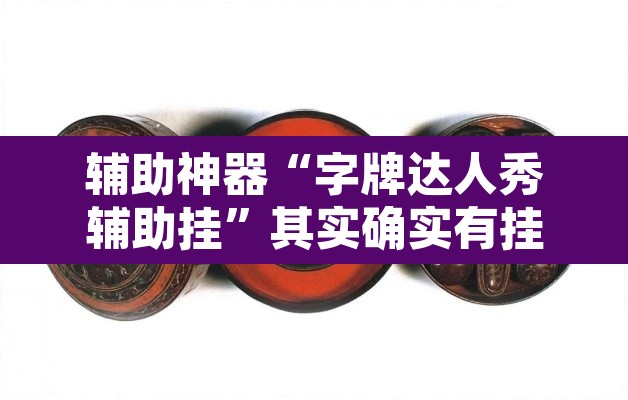 辅助神器“字牌达人秀辅助挂”其实确实有挂
