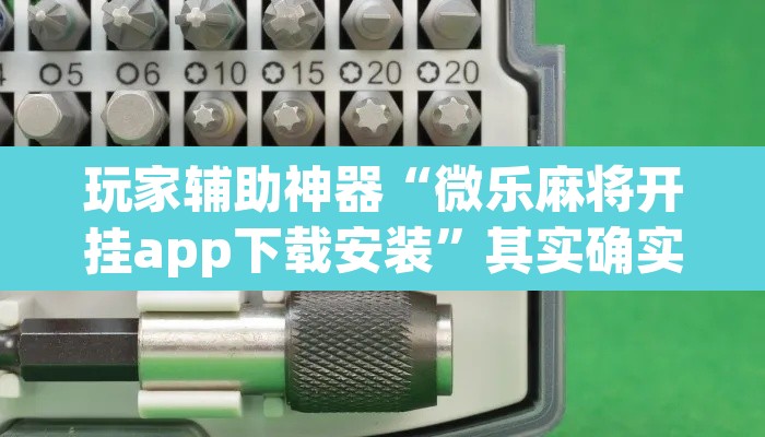 玩家辅助神器“微乐麻将开挂app下载安装”其实确实有挂
