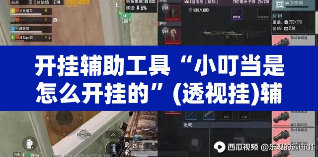 开挂辅助工具“小叮当是怎么开挂的”(透视挂)辅助透视教程
