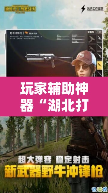 玩家辅助神器“湖北打滚要怎么开挂开挂	”(透视)其实确实有挂