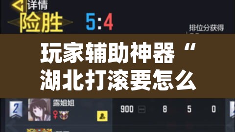 玩家辅助神器“湖北打滚要怎么开挂开挂”(透视)其实确实有挂