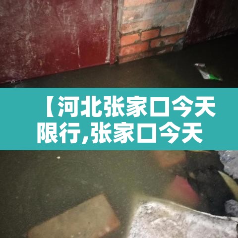 【河北张家口今天限行,张家口今天限行车号】 【河北张家口今天限行,张家口今天限行车号】