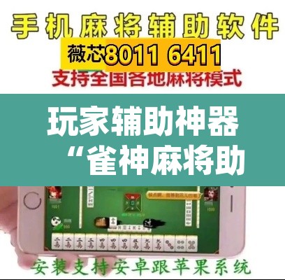 玩家辅助神器“雀神麻将助赢神器购买”(透视)其实确实有挂