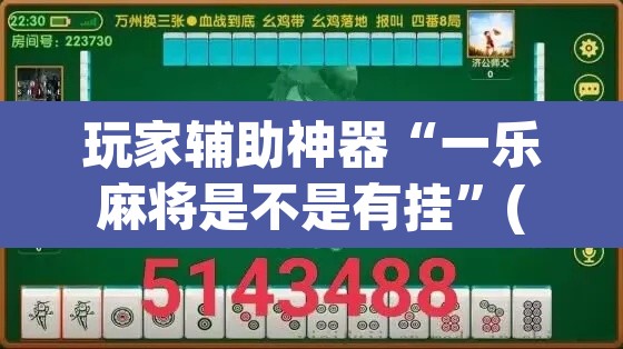 玩家辅助神器“一乐麻将是不是有挂”(透视)其实确实有挂