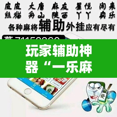 玩家辅助神器“一乐麻将是不是有挂”(透视)其实确实有挂