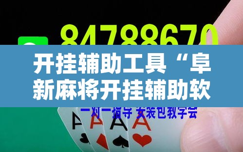 开挂辅助工具“阜新麻将开挂辅助软件”其实确实有挂