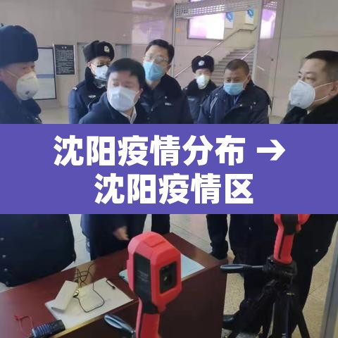 沈阳疫情分布 → 沈阳疫情区