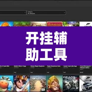 开挂辅助工具“超稳大厅作弊辅助透视开挂”开挂辅助脚本+详细开挂安装教程