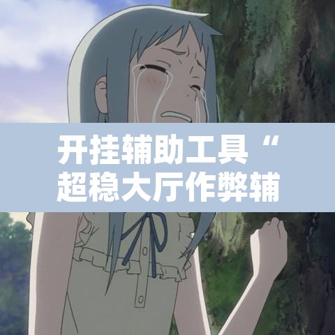 开挂辅助工具“超稳大厅作弊辅助透视开挂”开挂辅助脚本+详细开挂安装教程