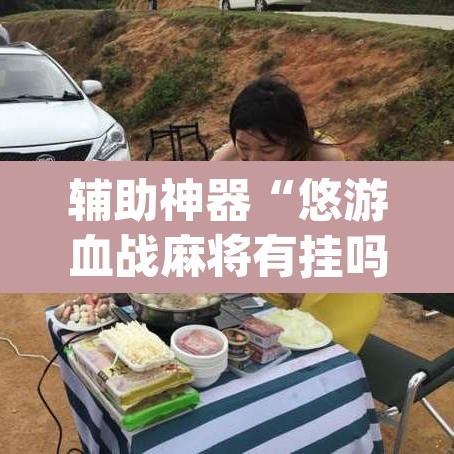 辅助神器“悠游血战麻将有挂吗”(透视挂)辅助透视教程