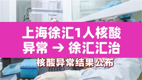 上海徐汇1人核酸异常 → 徐汇汇治理核酸检测