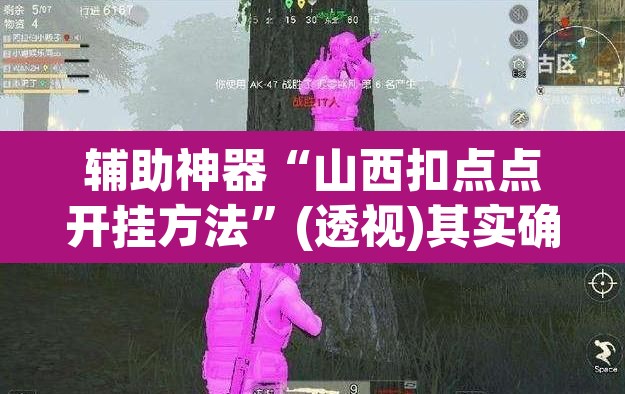 辅助神器“山西扣点点开挂方法”(透视)其实确实有挂