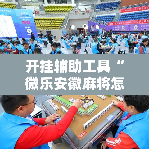 开挂辅助工具“微乐安徽麻将怎样免费开挂	”(透视挂)辅助透视教程
